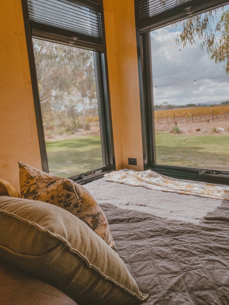 Cushions on the bed beside the window, the vineyard outside