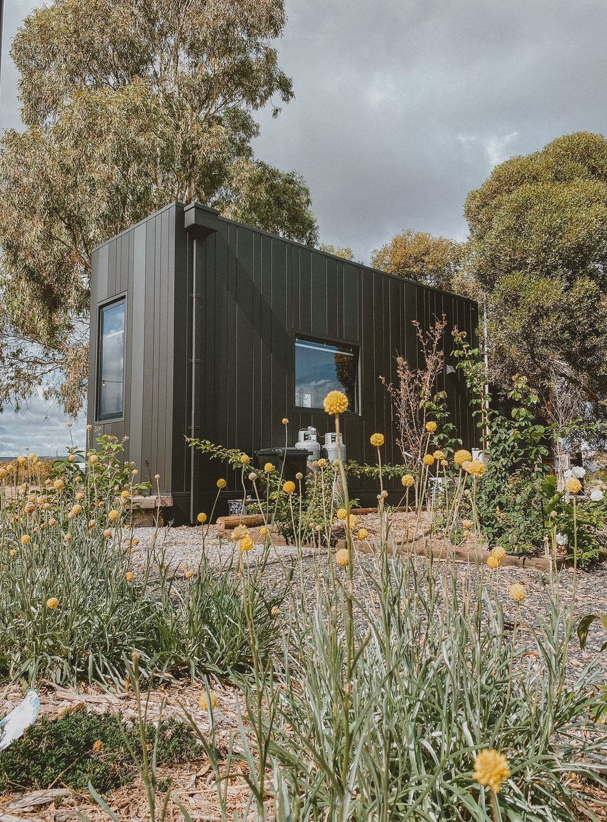 The cabin beyond a garden of grasses and yellow flowers
