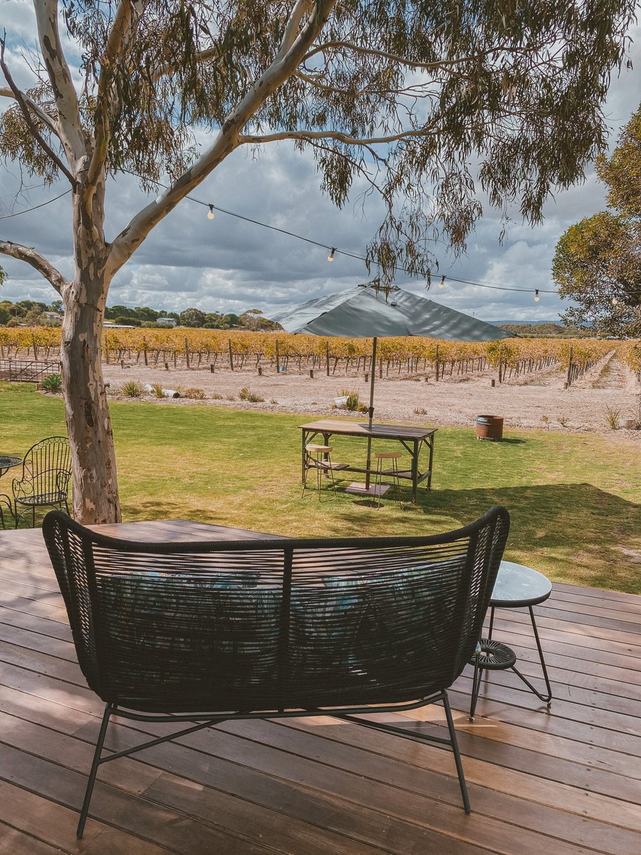 A cushioned bench on the deck, looking over the lawn to the vineyard