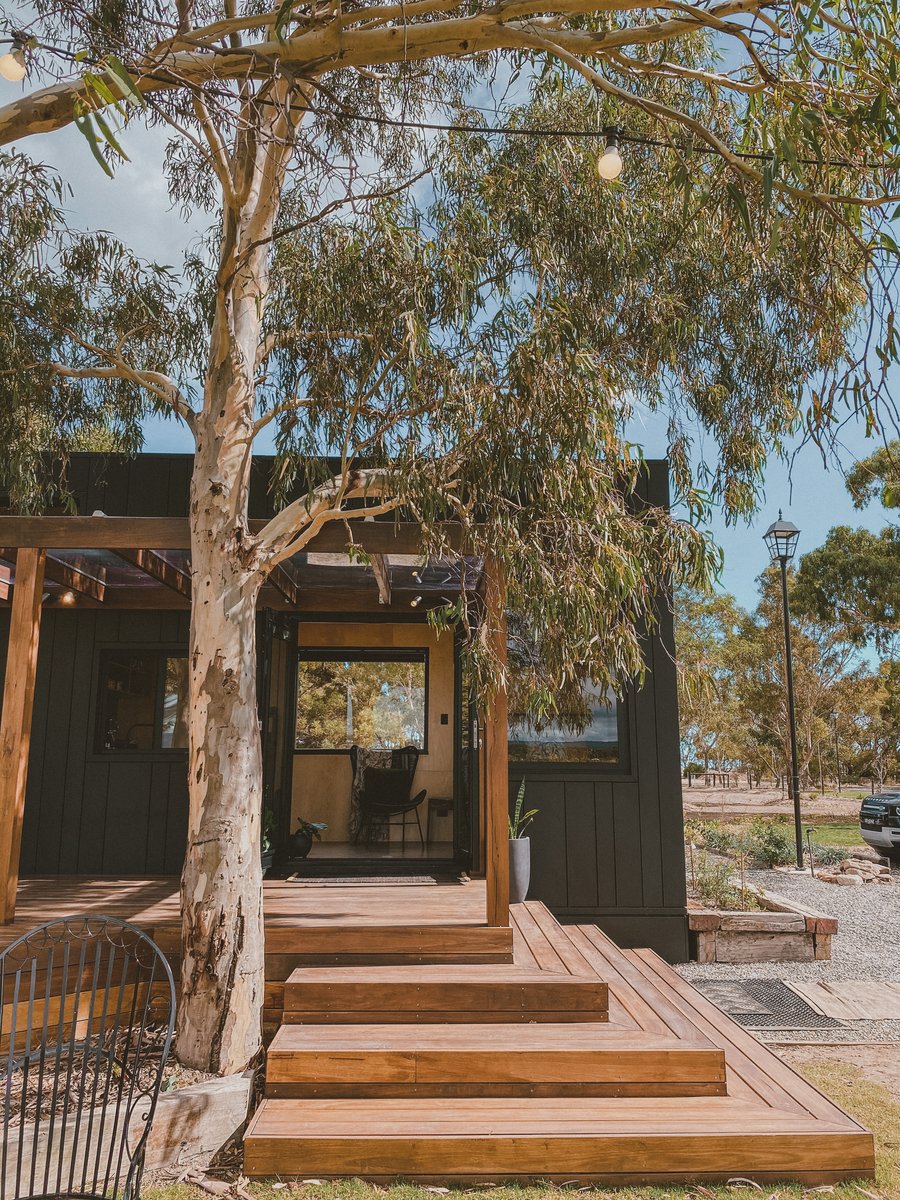 Broad timber steps up to the cabin's deck, framed by gum trees