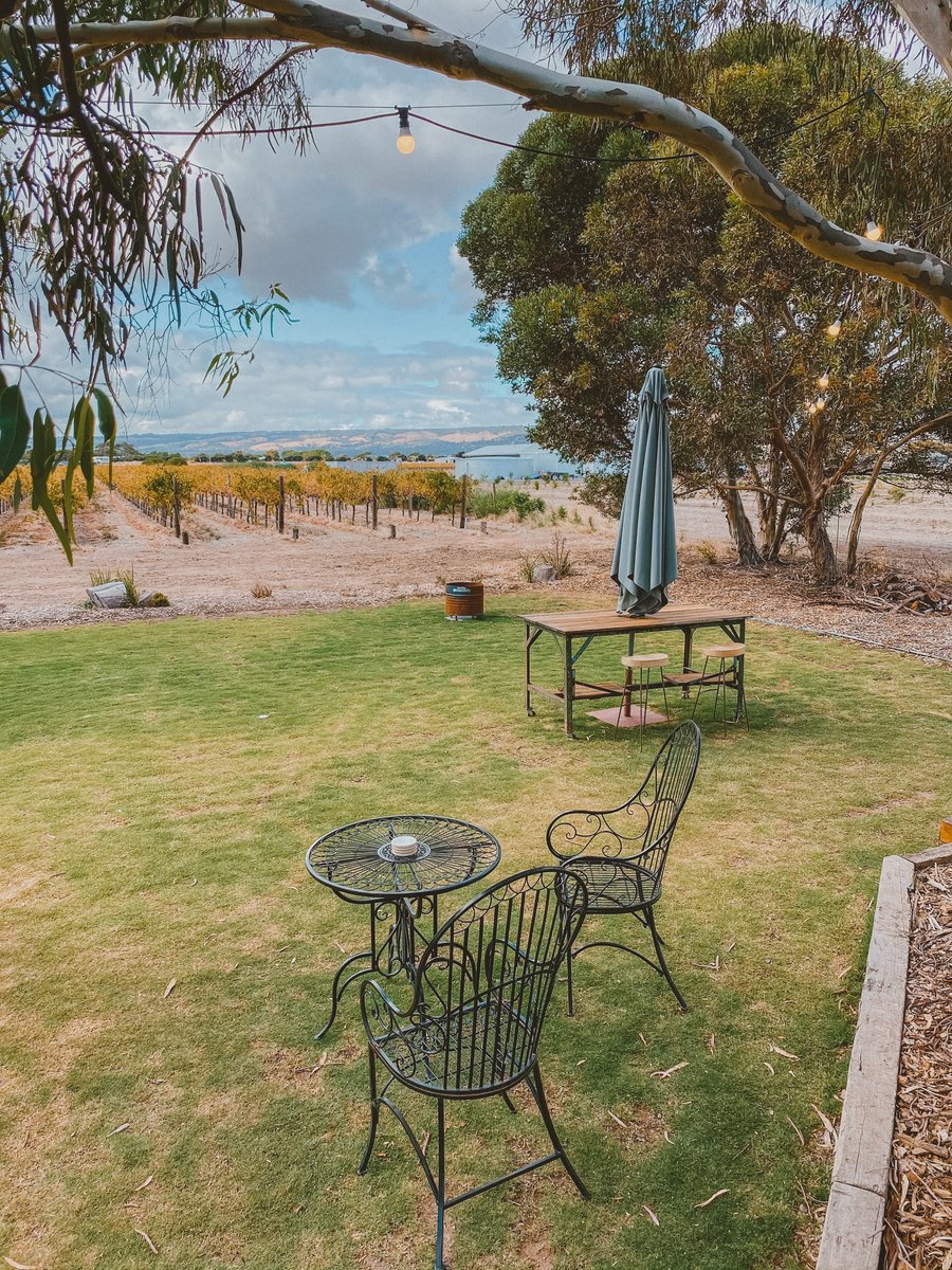 Wrought-iron chairs on the lawn above the vineyard rows