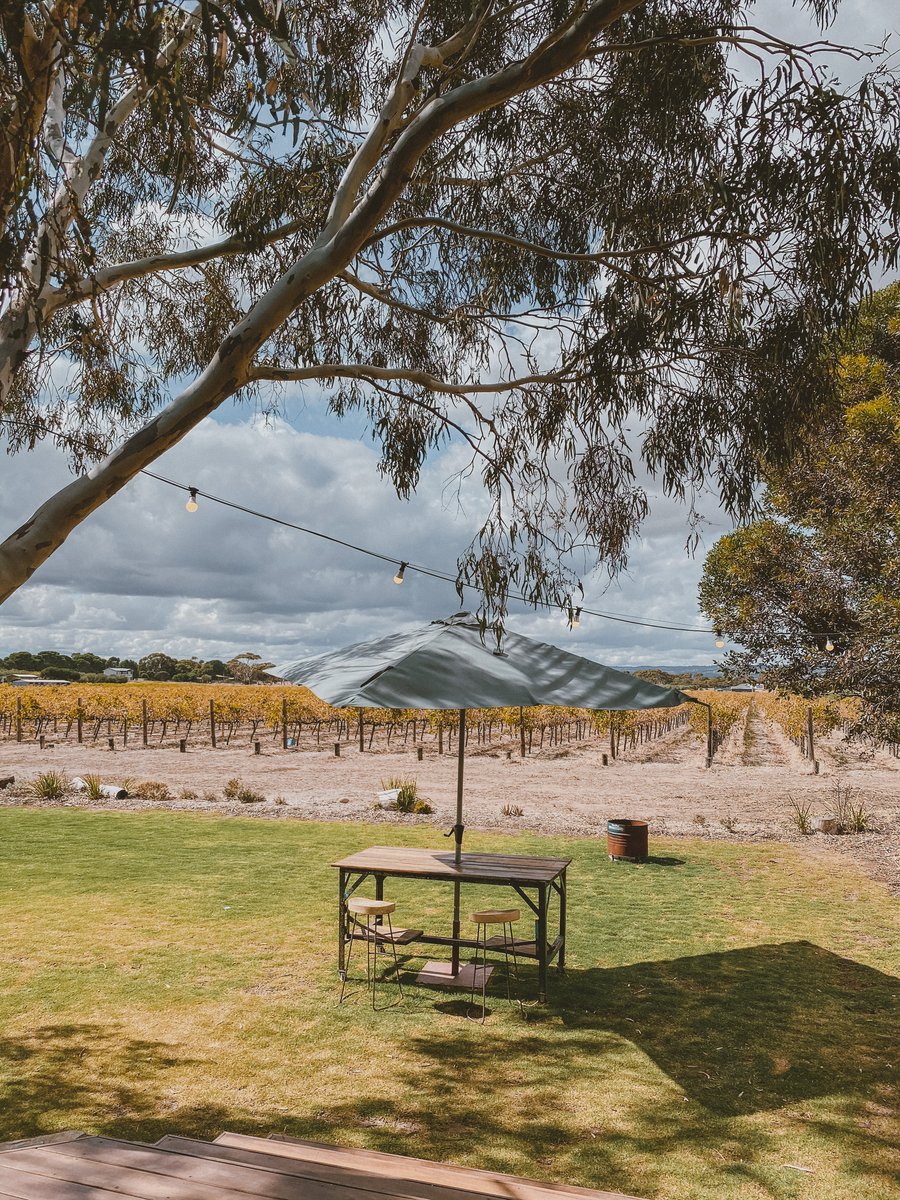A table and umbrella on the lawn, the vineyard and hills beyond